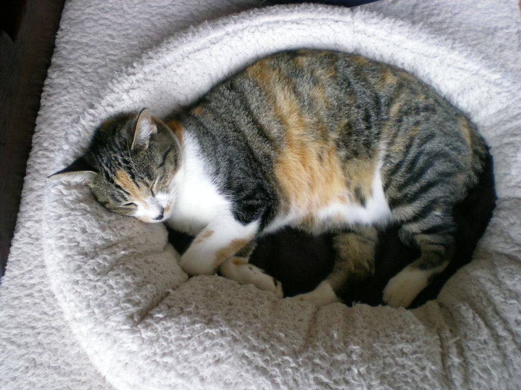 2009年9月30(水)雨の日には透明水彩画!_f0060461_10521453.jpg