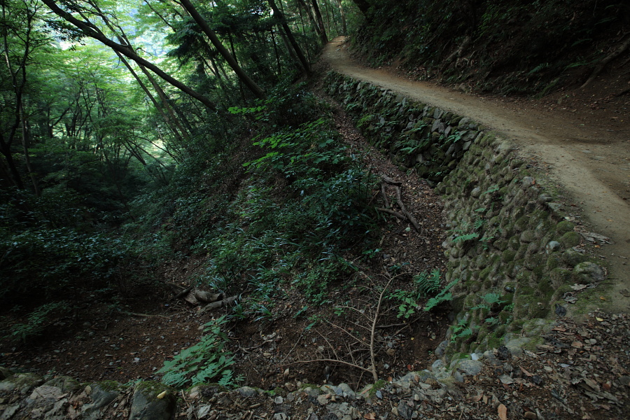 f0171065_23502080.jpg