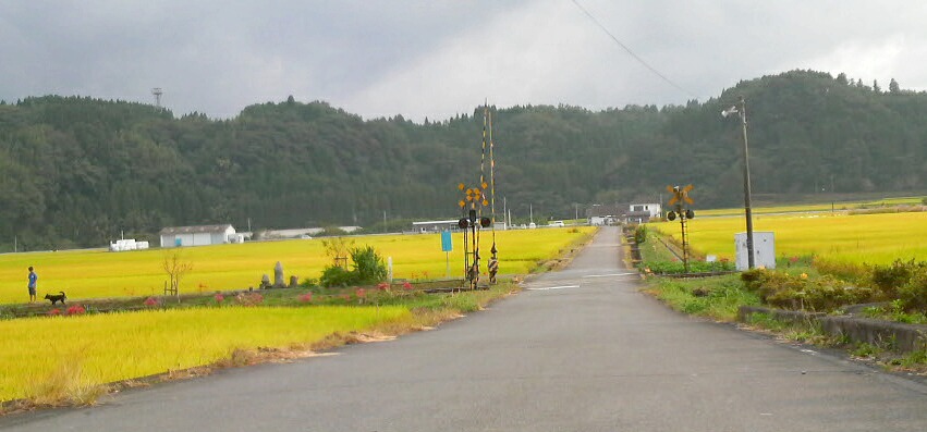 f0121167_132826.jpg