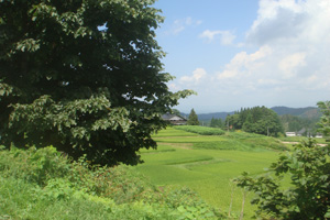 f0202071_9685.jpg