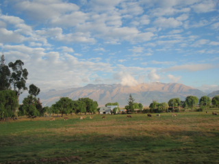 e0150782_635163.jpg