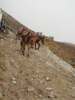 e0150782_6481142.jpg