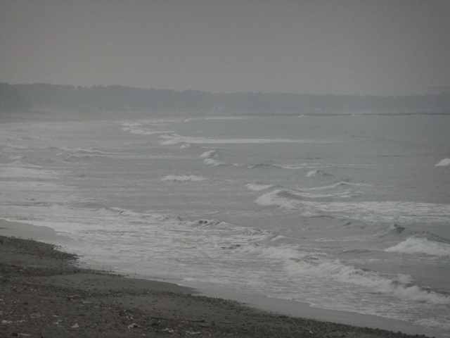 a0074985_163489.jpg