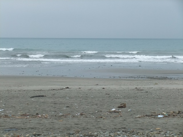 a0074985_939268.jpg