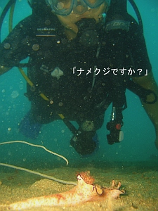 ラチャヤイ島?いや、コーラル島!_f0144385_2113694.jpg