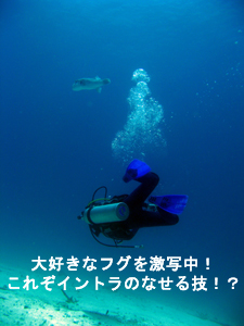 やったぜラチャヤイ島 めちゃくちゃ綺麗!_f0144385_654962.jpg