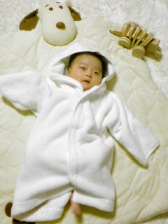 芋。栗。南瓜。_f0177295_2247878.jpg
