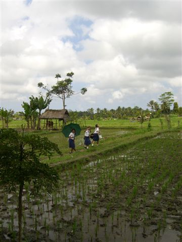 a0057402_1836272.jpg