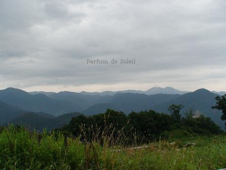 d0087503_1303158.jpg