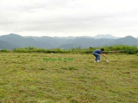 d0087503_1304987.jpg