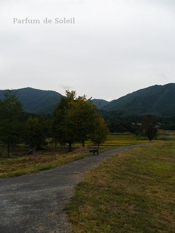 d0087503_137484.jpg