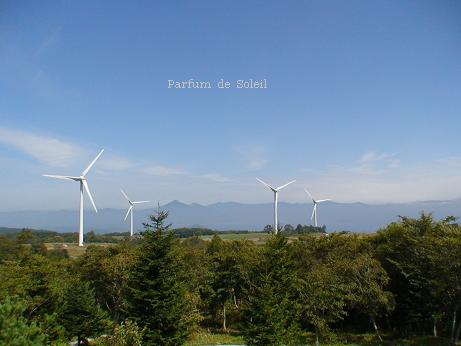 d0087503_1385229.jpg