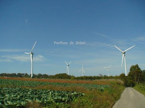 d0087503_1391954.jpg