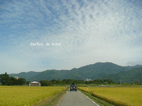 d0087503_1395315.jpg