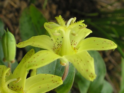 c0156104_061793.jpg