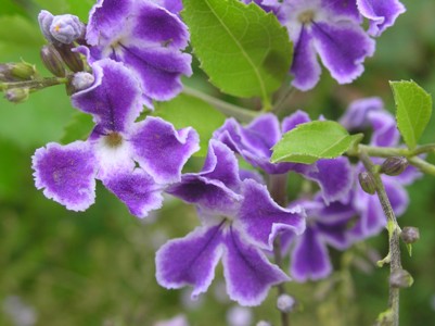c0156104_06495.jpg