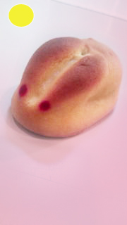 お月見には白うさぎ_a0115906_13224770.jpg