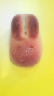 お月見には白うさぎ_a0115906_13233627.jpg
