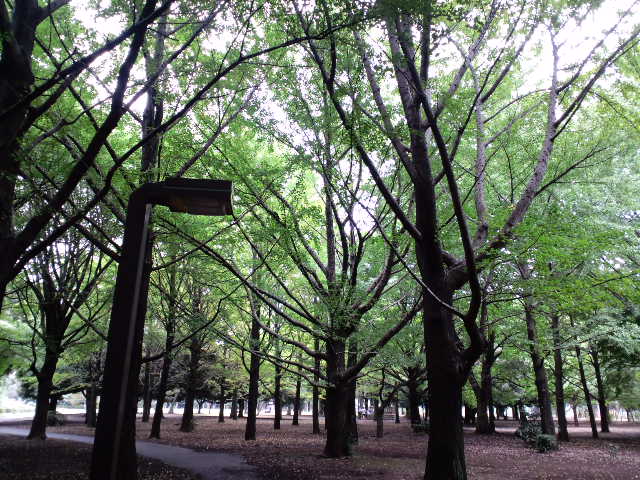 a0088007_9164882.jpg