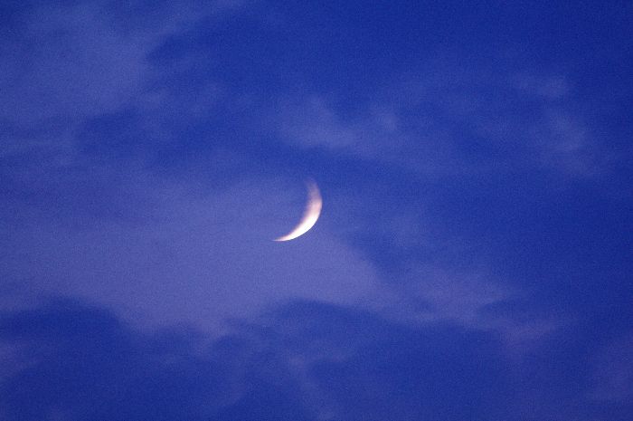 b0151409_21454987.jpg