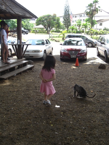ハワイ2009 その11 ノースへドライブ_f0169509_07468.jpg