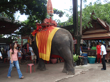 タイ旅行記2日目　アユタヤ周辺その2_b0176111_0514757.gif