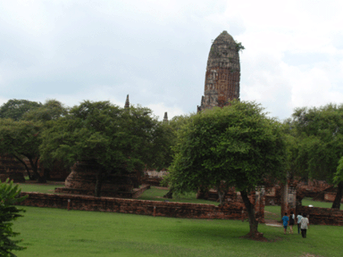 b0176111_0531493.gif