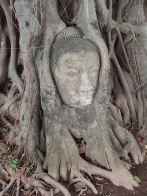 タイ旅行記2日目　アユタヤ周辺その2_b0176111_238325.gif