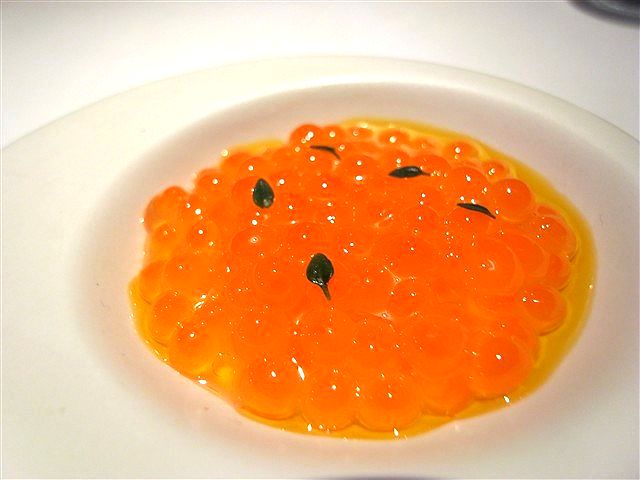 養子縁組。_c0116714_11132544.jpg