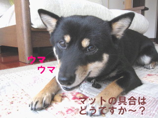 c0185516_1554854.jpg