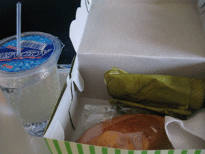 d0038319_10203934.gif
