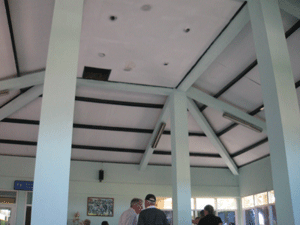 d0038319_104367.gif