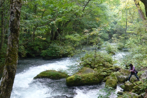 八甲田山～地獄沼～睡蓮沼～ブナ林～奥入瀬渓流　Ｎｏ２_d0066920_21202033.jpg