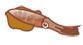 c0176622_1595916.gif