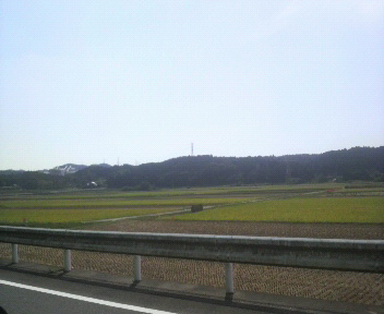 d0150722_17573435.jpg