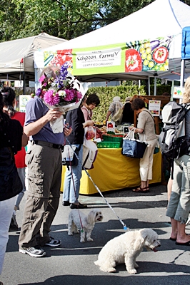 a0034225_21774.jpg