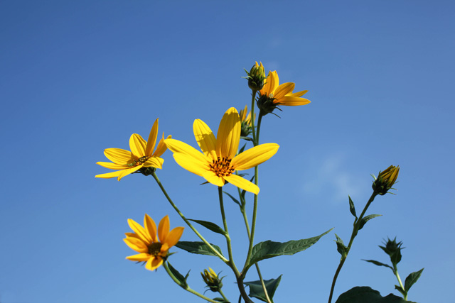 c0064025_9465512.jpg