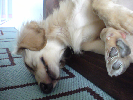 c0117831_20152912.jpg