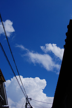 e0068732_20543796.jpg