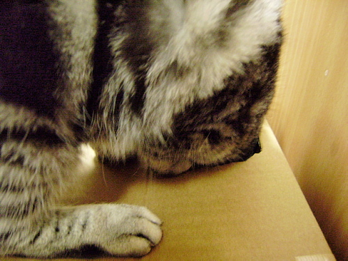 f0175434_074695.jpg