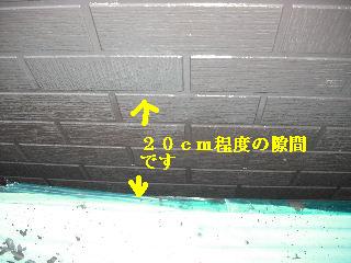 f0031037_2150496.jpg