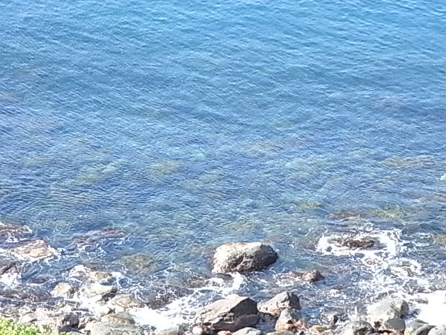 b0145846_16422510.jpg