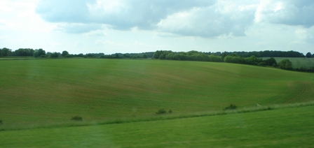 d0040546_4185316.jpg