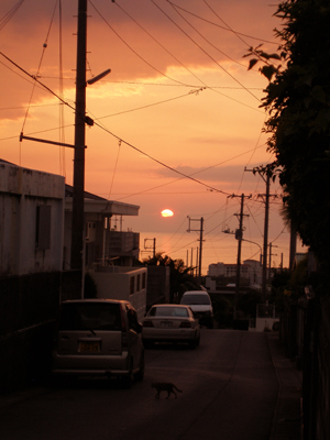  今度は夕日☆_d0065247_20184018.jpg