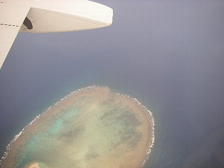 a0056654_0144757.jpg