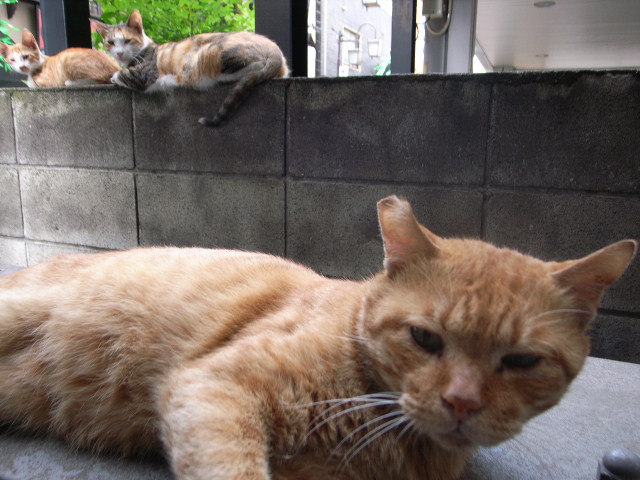 \"キッカケからワンランク上へ\"ってこんなこと。_c0140560_14105041.jpg