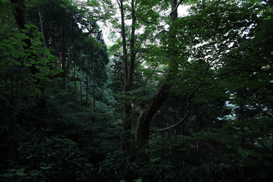 f0171065_055572.jpg