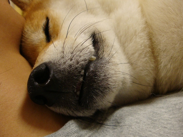 気になるの_a0126590_22304058.jpg