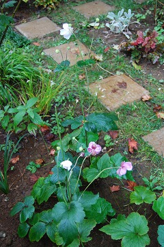 c0124100_1734119.jpg