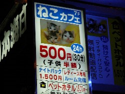 猫カフェ アンクリッド 猫カフェ アンクリッド